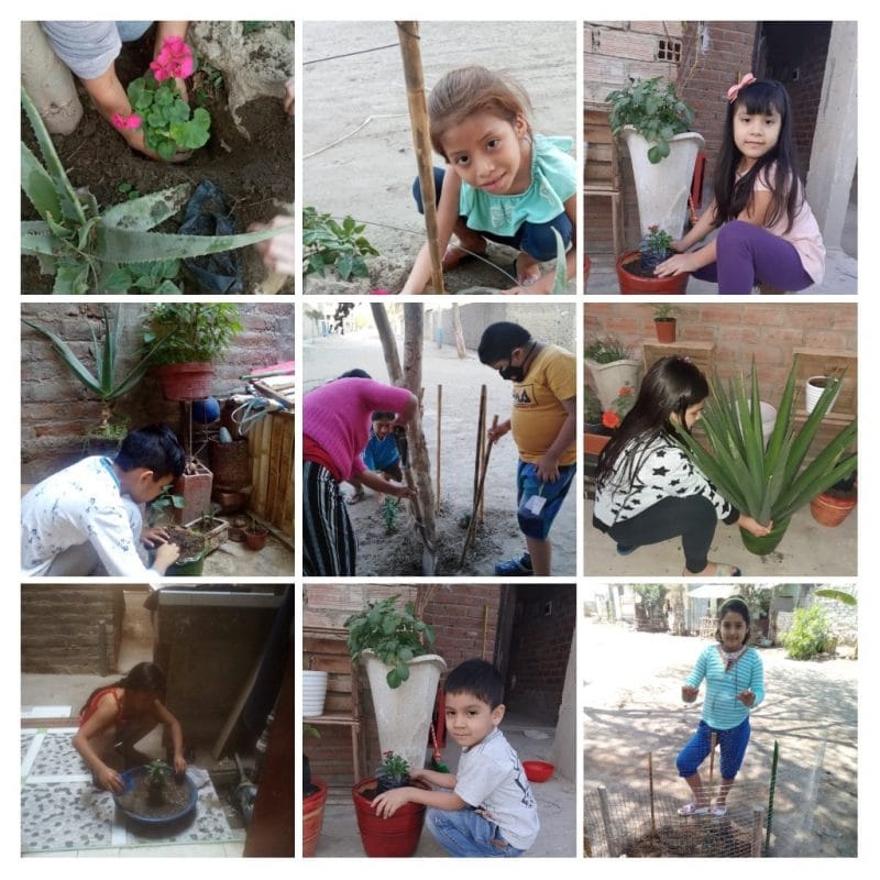children planting gardens in their neighbourhood